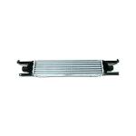 TURBO RADYATORU INTERCOOLER LINEA 1.3JTD 45 - ORIS IFI509050